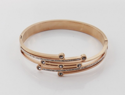 Stainless Steel Brand Bangle-SHK220508-IMG_0030