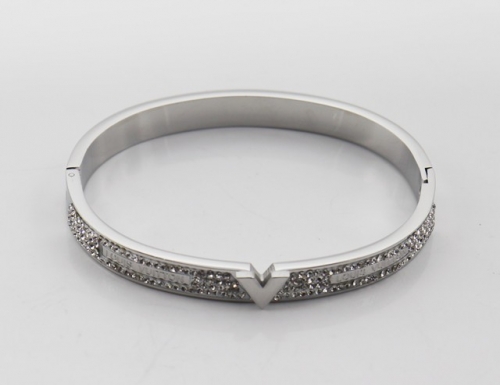 Stainless Steel Brand Bangle-SHK220508-IMG_0086