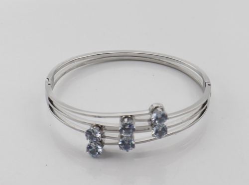 Stainless Steel Brand Bangle-SHK220508-IMG_0033