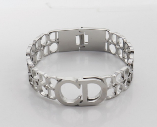 Stainless Steel Brand Bangle-SHK220508-IMG_0090