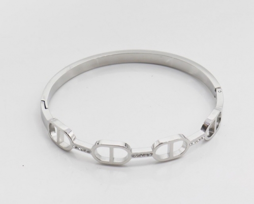 Stainless Steel Brand Bangle-SHK220508-IMG_0042