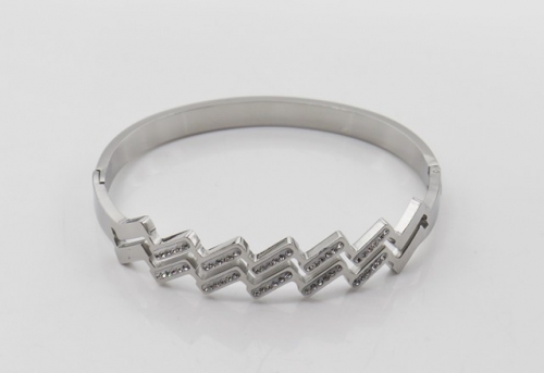 Stainless Steel Brand Bangle-SHK220508-IMG_0015