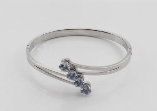 Stainless Steel Brand Bangle-SHK220508-IMG_0027