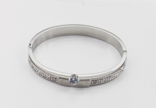 Stainless Steel Brand Bangle-SHK220508-IMG_0120