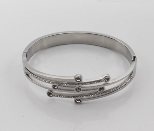 Stainless Steel Brand Bangle-SHK220508-IMG_0031