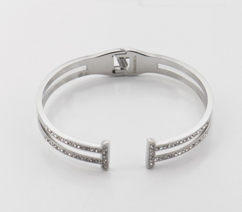 Stainless Steel Brand Bangle-SHK220508-IMG_0082