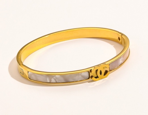 Stainless Steel Brand Bangle-YWA220511-P18.5JH