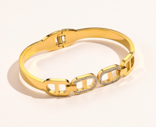 Stainless Steel Brand Bangle-YWA220511-P18.5JG