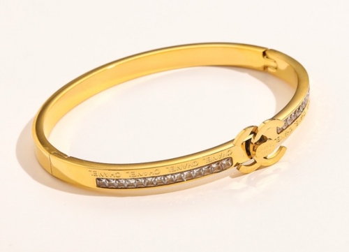 Stainless Steel Brand Bangle-YWA220511-P22.5DG