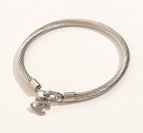 Stainless Steel Brand Bangle-YWA220511-P16.5K