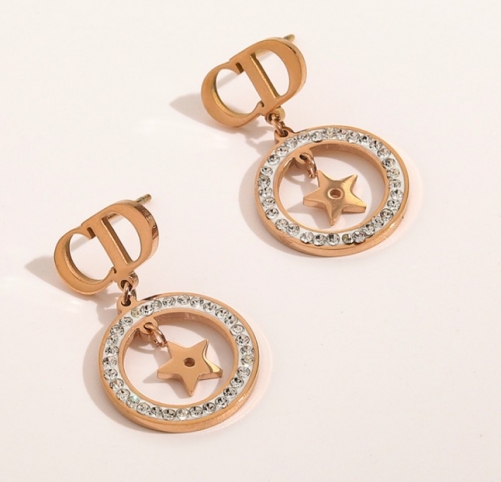 Stainless Steel Brand Earrings-YWA220511-P12DR