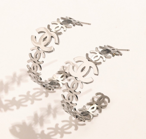 Stainless Steel Brand Earrings-YWA220511-P12S