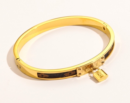 Stainless Steel Brand Bangle-YWA220511-P21F