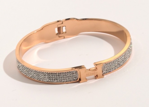 Stainless Steel Brand Bangle-YWA220511-P20SR