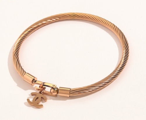 Stainless Steel Brand Bangle-YWA220511-P16.5H