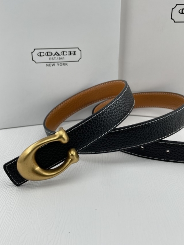 Belt 221-YX