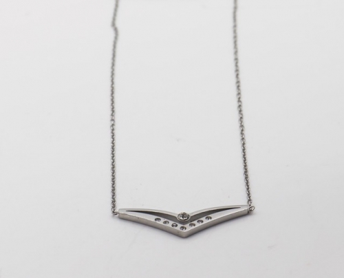 Stainless Steel Necklace-SHK220617-IMG_0573