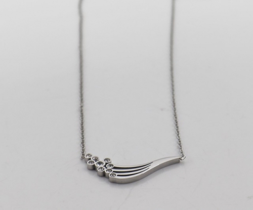 Stainless Steel Necklace-SHK220617-IMG_0589