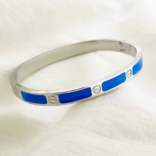 Stainless Steel Brand Bangle-RR220624-Rrs04089-21