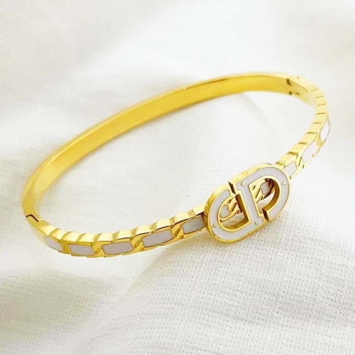 Stainless Steel Brand Bangle-RR220624-Rrs04095-24