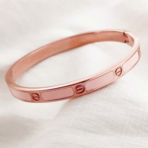 Stainless Steel Brand Bangle-RR220624-Rrs04093-23