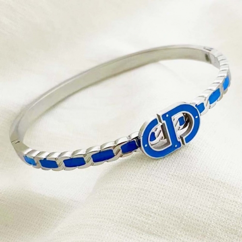 Stainless Steel Brand Bangle-RR220624-Rrs04096-23