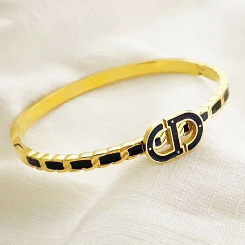 Stainless Steel Brand Bangle-RR220624-Rrs04099-24