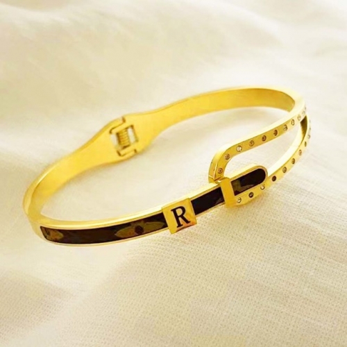 Stainless Steel Brand Bangle-RR220624-Rrs04122-24