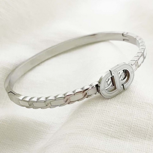 Stainless Steel Brand Bangle-RR220624-Rrs04094-23