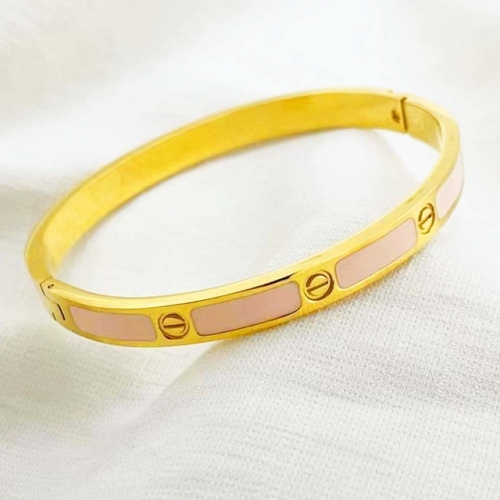 Stainless Steel Brand Bangle-RR220624-Rrs04092-22