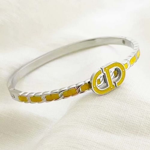 Stainless Steel Brand Bangle-RR220624-Rrs04100-23