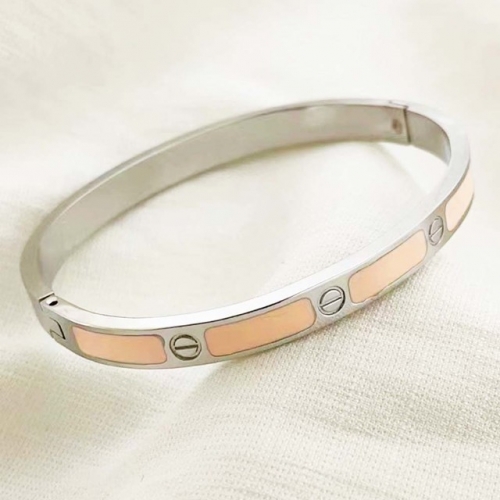 Stainless Steel Brand Bangle-RR220624-Rrs04091-21