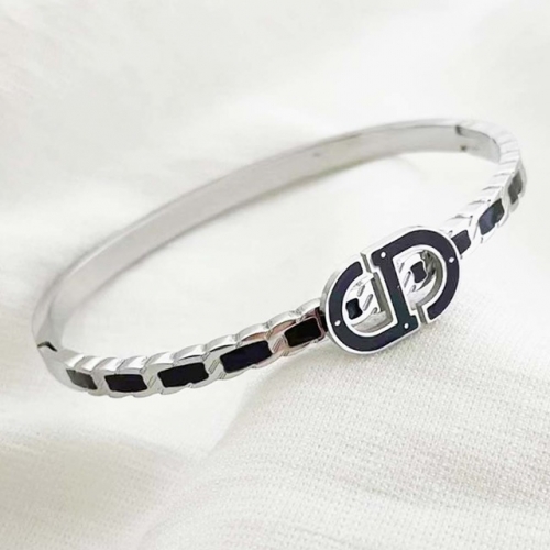 Stainless Steel Brand Bangle-RR220624-Rrs04098-23