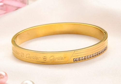 Stainless Steel Brand Bangle-YWA220712-P20DSGS