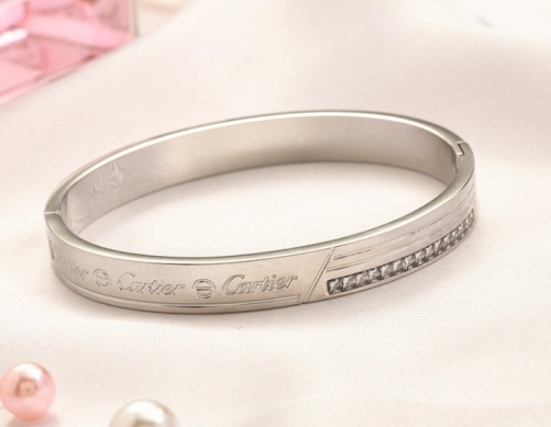 Stainless Steel Brand Bangle-YWA220712-P20SF