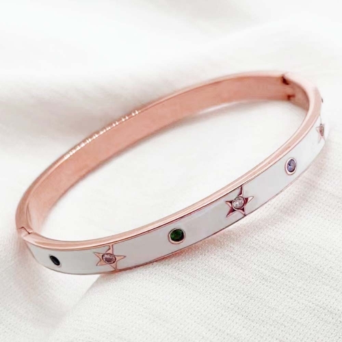 Stainless Steel Brand Bangle-RR220717-Rrs04131-25