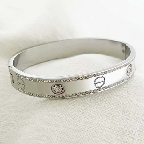 Stainless Steel Brand Bangle-RR220926-Rrs04172-23