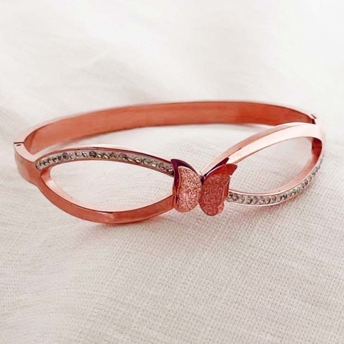 Stainless Steel Brand Bangle-RR220926-Rrs04169-25