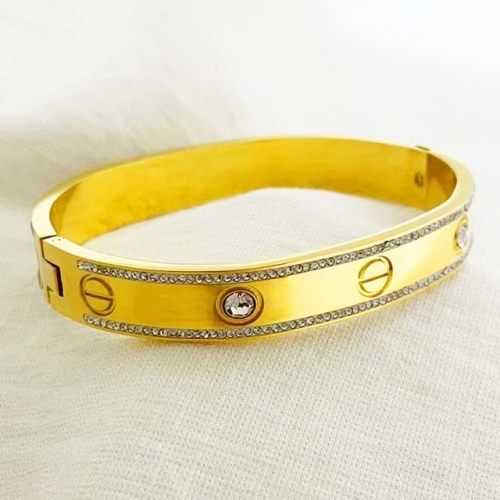 Stainless Steel Brand Bangle-RR220926-Rrs04173-24