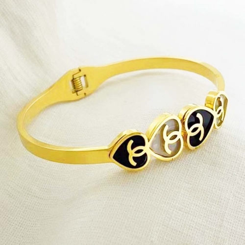 Stainless Steel Brand Bangle-RR220926-Rrs04178-24