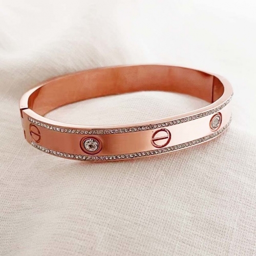 Stainless Steel Brand Bangle-RR220926-Rrs04174-25