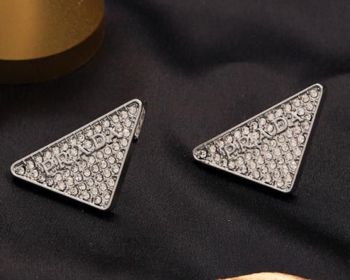 Stainless Steel Brand Earrings-YWA220511-P7.5H