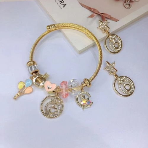 Stainless Steel Set(Bracelet+Earrings) with alloy copper charms-DN221010-P15IK (17)