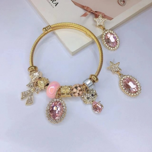 Stainless Steel Set(Bracelet+Earrings) with alloy copper charms-DN221010-P15IK (16)