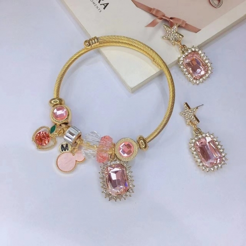 Stainless Steel Set(Bracelet+Earrings) with alloy copper charms-DN221010-P15IK (15)