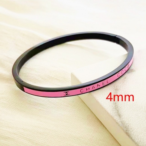 Stainless Steel Brand Bangle-RR221027-Rrs04224-24