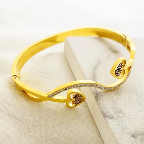 Stainless Steel Brand Bangle-RR221027-Rrs04202-24