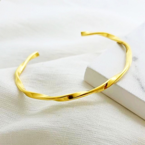 Stainless Steel Brand Bangle-RR221027-Rrs04200-15