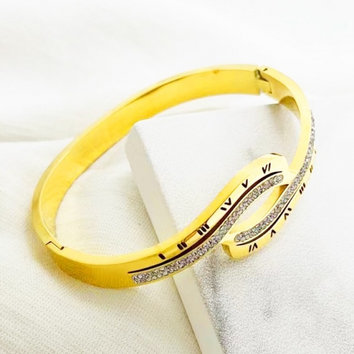 Stainless Steel Brand Bangle-RR221027-Rrs04206-24