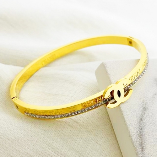 Stainless Steel Brand Bangle-RR221027-Rrs04220-24